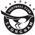Seongnam logo