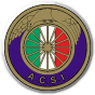 Audax Italiano logo