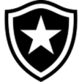 Botafogo U20 logo
