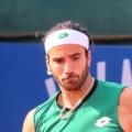 Andrea Pellegrino logo